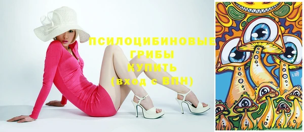 спиды Белокуриха