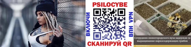 Псилоцибиновые грибы мухоморы  дарк нет Telegram  Верещагино 